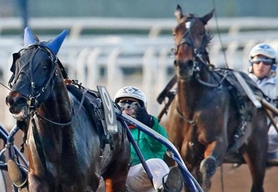 Ippica, un Urlo nell'Elwood Medium