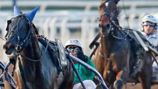 Ippica, un Urlo nell'Elwood Medium