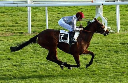 Ippica, a Capannelle in arrivo Dettori