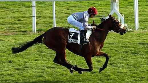 Ippica, a Capannelle in arrivo Dettori