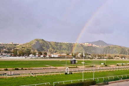 Ippica, Lotteria: ecco i 24 selezionati