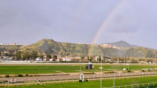 Ippica, Lotteria: ecco i 24 selezionati