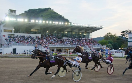 Ippica, formate le batterie del Lotteria