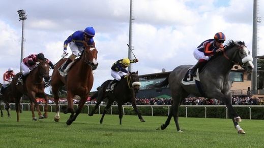 Ippica, Botti chiama banco nel Regina Elena