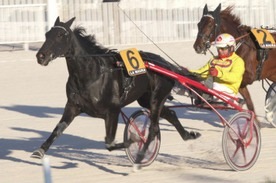 Ippica, prima classica per Ubertino