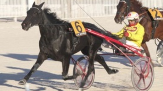 Ippica, prima classica per Ubertino