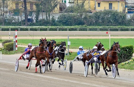 Ippica, Troja d'Asolo con il n. 1 a Napoli