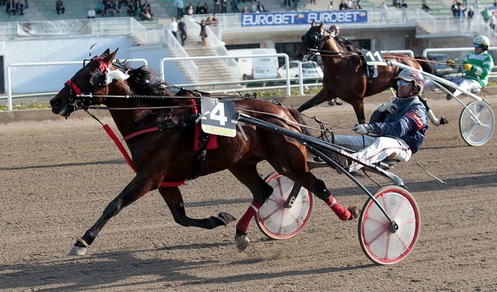 Ippica, Totoo del Ronco passa e ringrazia