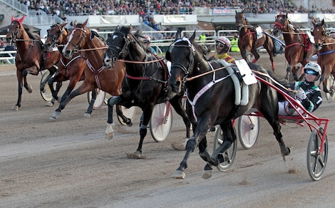 GP Lotteria: vince Oasis Bi, italiano di Svezia