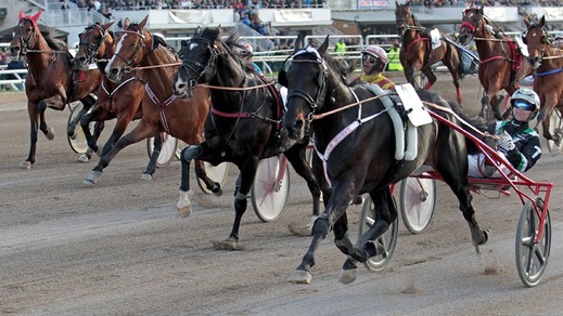 GP Lotteria: vince Oasis Bi, italiano di Svezia