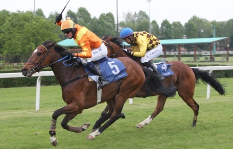 Con Little Bruv lo Steeple è italiano