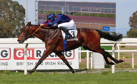 Il Presidente è tedesco: Diplomat