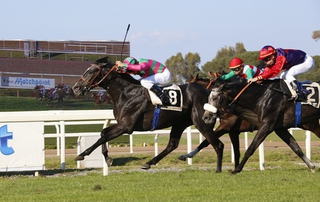 Derby in grigio: Saent batte Dee Dee d'Or