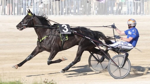 Timone Ek, altro show nell'Europa