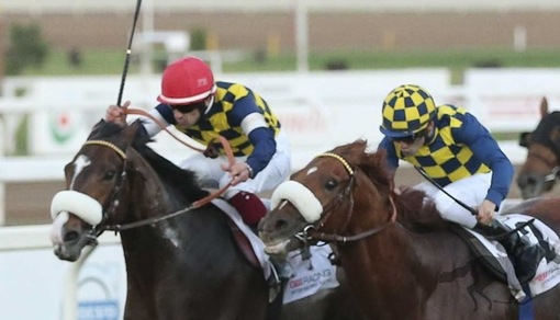 Per il Milano torna Dylan Mouth