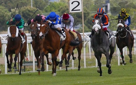 Guarnieri inizia bene in Francia