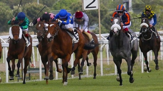 Guarnieri inizia bene in Francia