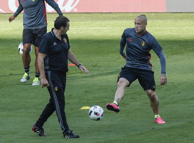 Belgio, Wilmots: «Nainggolan? Non potevo impedirgli di fumare»