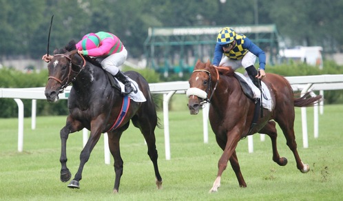 Greg, un Pass da Giubileo