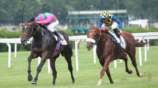 Greg, un Pass da Giubileo