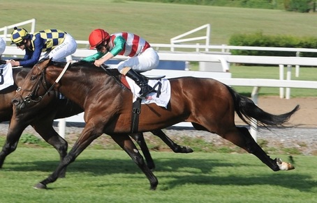 Altro anno di stop per Botti