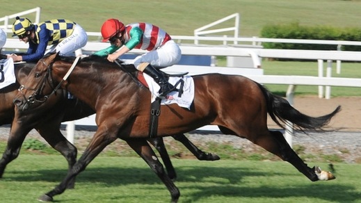 Altro anno di stop per Botti