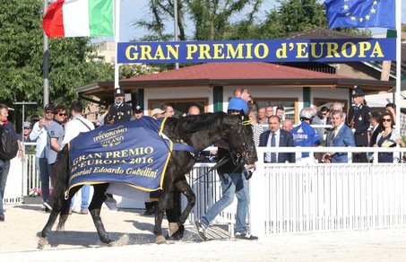 Per il Triossi arriva Timone Ek