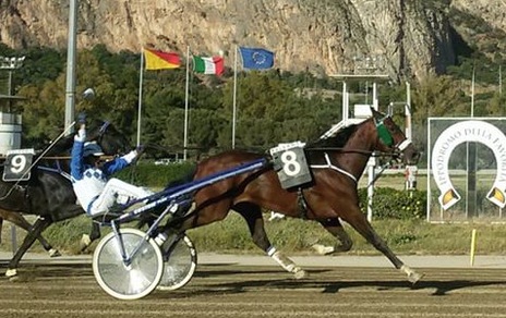 Orsia ci riprova nel Regione Sicilia