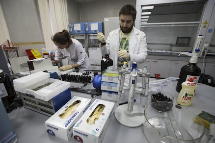 Doping, sospeso il laboratorio di Rio: «Non è conforme»