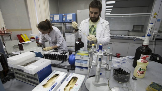 Doping, confermati 16 mesi di squalifica per Abbagnale