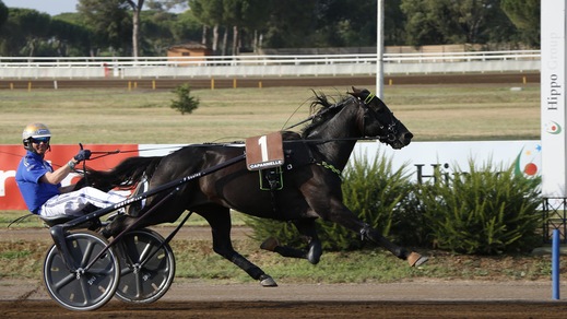 Timone saldo anche a Roma