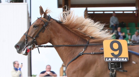 Agnano sfida... Italia-Germania
