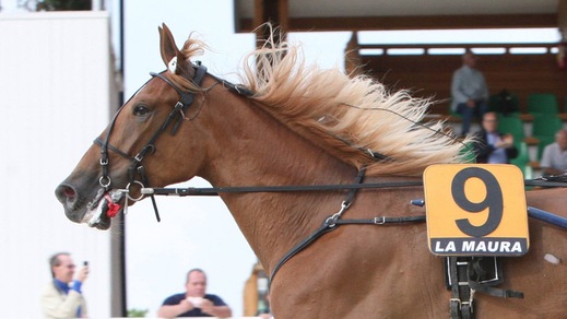 Agnano sfida... Italia-Germania