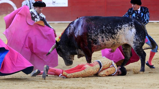 Spagna, Torero muore durante la corrida