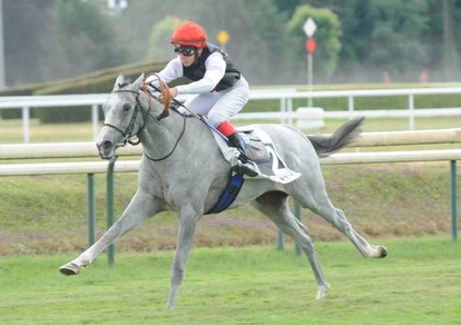 Orani, una storia alla Atzeni