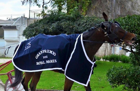 Domenica due GP a Taranto