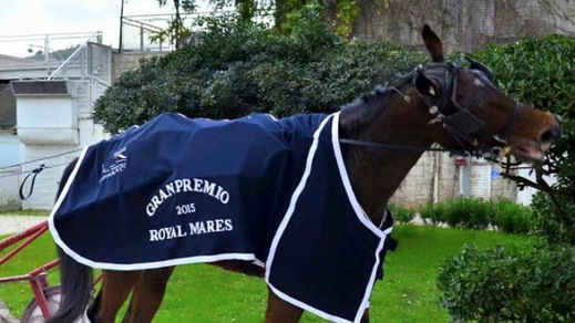 Domenica due GP a Taranto