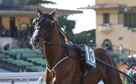 Al trotto è il Turno della Incolinx