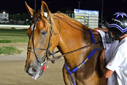 Due novità per Unicka al Garigliano