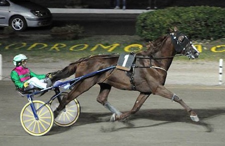 Un Turno per quattordici a Follonica