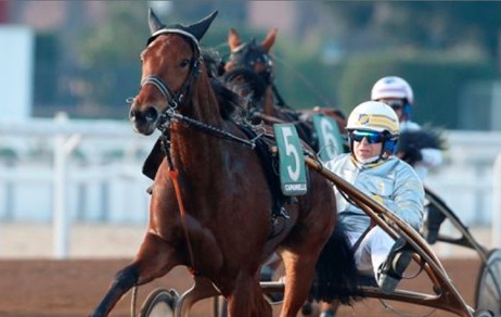 Anche il Marche a Montegiorgio