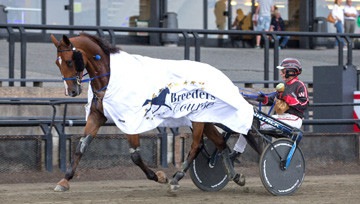 Unicorno Slm al Derby via Torino