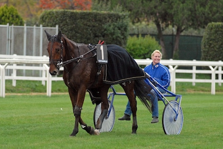 Dopo otto giorni, un altro GP