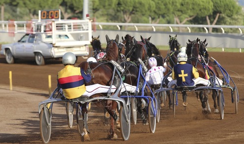 Trotto: trenta iscritti al Derby