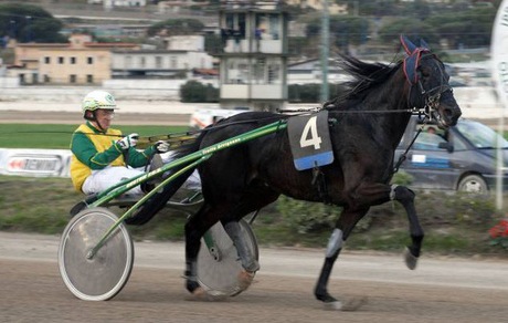 Un GP davvero Continentale