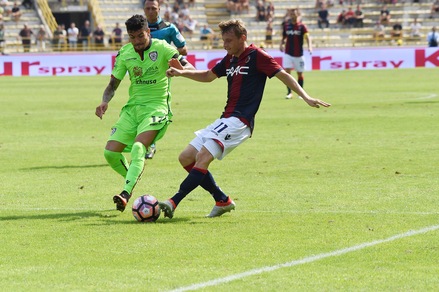 Serie A Bologna, è Krejcì il re degli assist in campionato