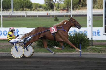 Una favorita Unicka per il Derby