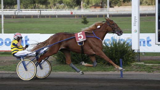 Una favorita Unicka per il Derby