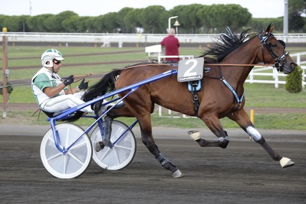 Derby e Oaks, i numeri delle finali