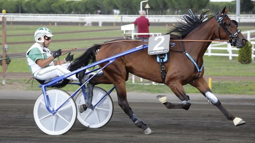 Derby e Oaks, i numeri delle finali